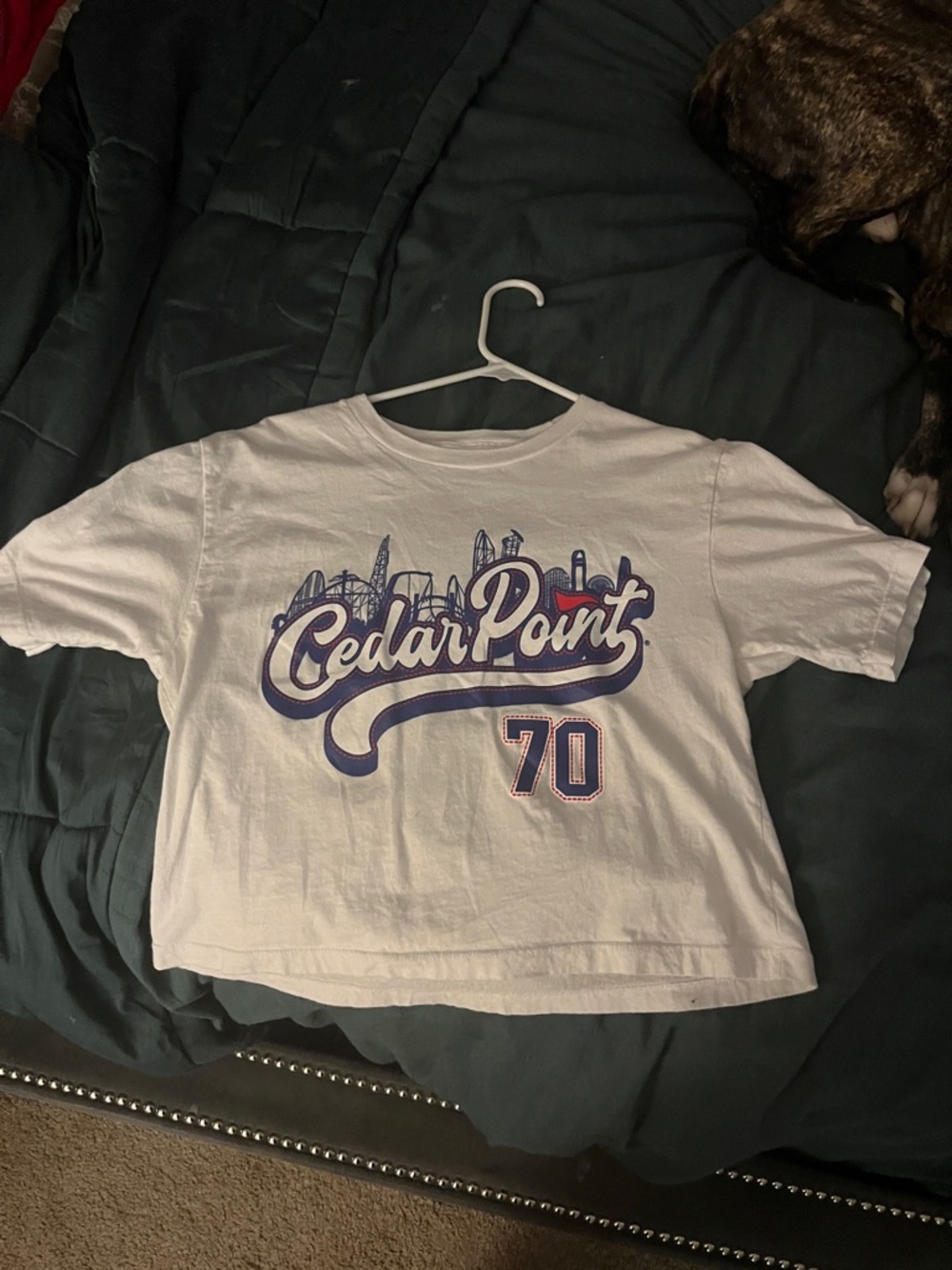 Cedar Point White Graphic Tee - 70 Logo